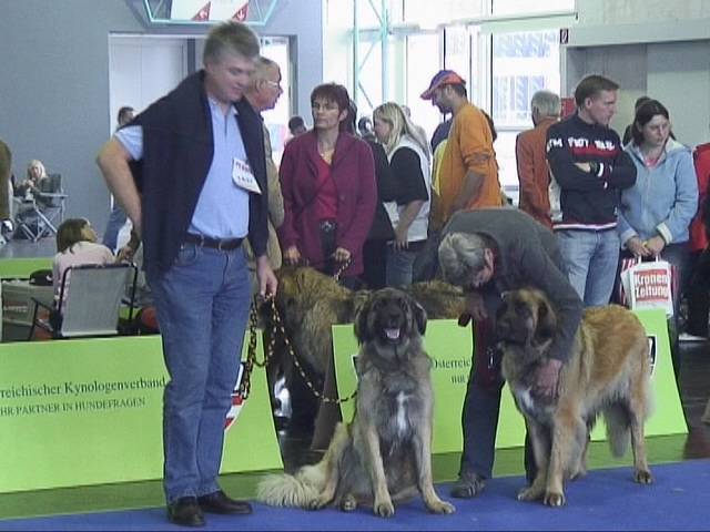 Salzburg Clubschau Mai 06 052 